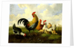 A rooster with hens and chicks by Albertus Verhoesen
