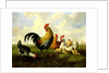 A rooster with hens and chicks by Albertus Verhoesen