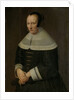 Portrait of a Woman by Godaert Kamper
