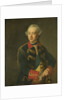 Portrait of William V, Prince of Orange-Nassau by Johann Georg Ziesenis