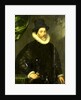 Portrait of Gualtero del Prado by Gortzius Geldorp