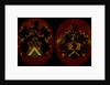 Hatchment with the coat of arms of Boudaen and Fourmenois, 1623, het wapen van Fourmenois omgewend by Anonymous