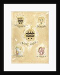 The coat of arms of Maria Magdalena Stavenisse, wife of Jacob de Witte, with the coat of arms of her four grandparents by Anonymous