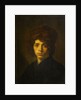 Young Man in Fur Cap by David Bailly