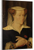 Jacoba of Bavaria, 1401-1436, countess of Holland and Zeeland by Pieter Willem Sebes
