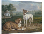 Two dogs by Jan Dasveldt