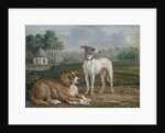 Two dogs by Jan Dasveldt