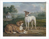 Two dogs by Jan Dasveldt