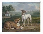 Two dogs by Jan Dasveldt
