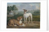 Two dogs by Jan Dasveldt