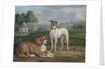 Two dogs by Jan Dasveldt