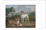 Two dogs by Jan Dasveldt