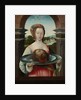 Salome with the Head of John the Baptist by Jacob Cornelisz van Oostsanen