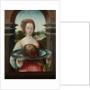 Salome with the Head of John the Baptist by Jacob Cornelisz van Oostsanen