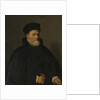 Portrait of an Old Man, probably Vercellino Olivazzi, Senator from Bergamo by Giambattista Moroni