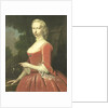 Portrait of a Woman by Frans van der Mijn