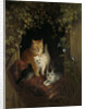 Cat with Kittens by Henriëtte Ronner