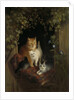Cat with Kittens by Henriëtte Ronner
