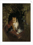 Cat with Kittens by Henriëtte Ronner