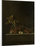 A Sprig of Gooseberries on a Stone Plinth by Adriaen Coorte