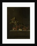 A Sprig of Gooseberries on a Stone Plinth by Adriaen Coorte