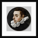 Hugo de Groot sixteen years old by Jan Antonisz van Ravesteyn