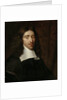 Portrait of Johan de Witt, 1625-72, Grand pensionary of Holland by Caspar Netscher