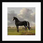 Adriaan van der Hoop’s Trotter ‘De Vlugge’, The Fast One in a Meadow by Anthony Oberman