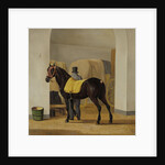 Adriaan van der Hoop’s Trotter ‘De Rot’ at the Coach House by Anthony Oberman