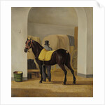 Adriaan van der Hoop’s Trotter ‘De Rot’ at the Coach House by Anthony Oberman