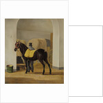 Adriaan van der Hoop’s Trotter ‘De Rot’ at the Coach House by Anthony Oberman