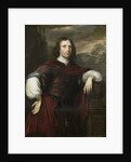 Portrait of a Man by Herman Verelst