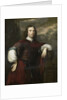 Portrait of a Man by Herman Verelst