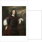 Portrait of a Man by Herman Verelst