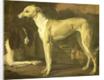 Portrait of a Greyhound and Spaniel by Jan Weenix