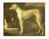Portrait of a Greyhound and Spaniel by Jan Weenix