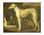 Portrait of a Greyhound and Spaniel by Jan Weenix