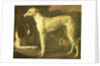 Portrait of a Greyhound and Spaniel by Jan Weenix
