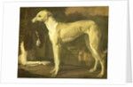 Portrait of a Greyhound and Spaniel by Jan Weenix