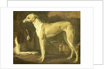 Portrait of a Greyhound and Spaniel by Jan Weenix