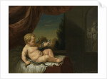The Infant Hercules with a Serpent by Pieter van der Werff