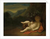 The Infant Bacchus by Pieter van der Werff