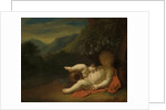 The Infant Bacchus by Pieter van der Werff