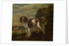 A spaniel by Paulus Potter