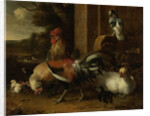 Poultry Yard by Melchior d' Hondecoeter