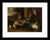 Poultry Yard by Melchior d' Hondecoeter