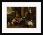 Poultry Yard by Melchior d' Hondecoeter