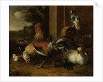Poultry Yard by Melchior d' Hondecoeter