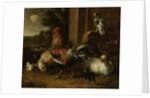 Poultry Yard by Melchior d' Hondecoeter