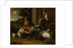 Poultry Yard by Melchior d' Hondecoeter